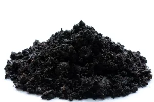 Biochar Carbon Actiforce